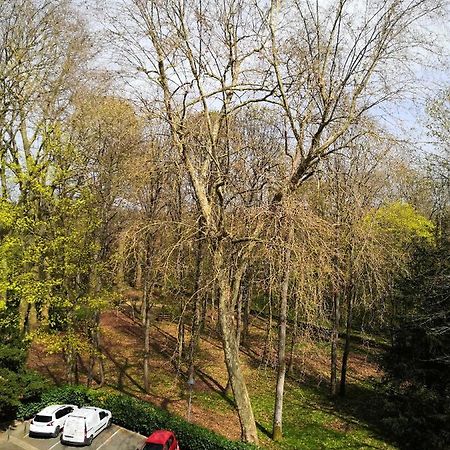Chambre D'Hote Au Parc Des Thibaudieres Boussy-Saint-Antoine ภายนอก รูปภาพ
